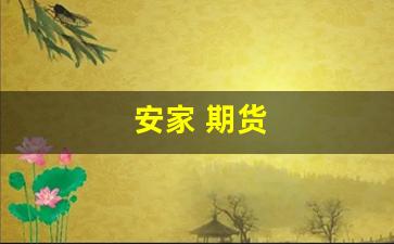 安家 期货(安家期货夫妻是哪一集)_https://www.hangfeite.com_创业板_第1张